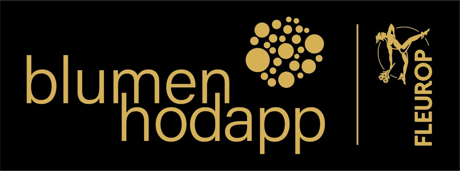 Blumen Hodapp Blumen Hodapp
